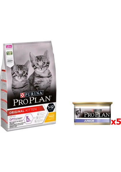 Pro Plan Proplan Yavru Paketi