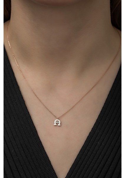 925 Ayar Minimal At Nalı Kadın Gümüş Kolye modelleri