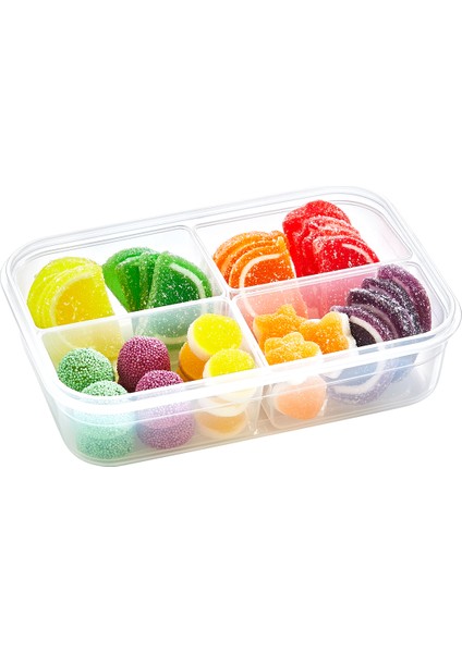 Fresh Box 4 Bölmeli Saklama Kabı