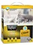 Clinic Kedi Kumu 6 Lt 1