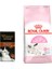 Royal Canın Kıtten Yavru Kedi Maması 2 kg + Miamr Car Cream Ödül Maması 1