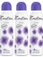 Violet Kadın Deodorant 150 ml 3'lü 1