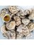Gerçek Deniz Kabuğu 250 gr Paket Gold Mouth 1