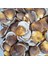 Gerçek Deniz Kabuğu 250 gr Paket Brown Cochles 1