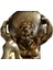 Atlas Dekoratif Biblo Dekoratif Aksesuar 3