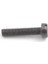Pegasus Reçme W500 Kapak Vidası Kısa / 007021A0 1