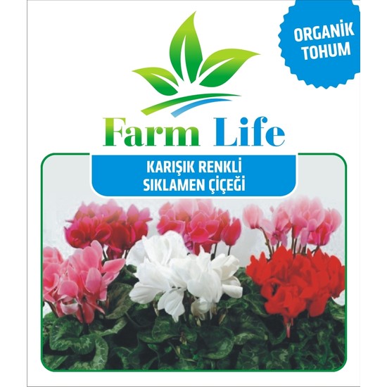 Farm Life 5 Adet 5 Renk Sıklamen Çiçeği Tohumu