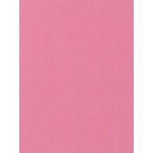 Wagner Boya Innenfarbe Silikonlu Iç Cephe Boyası 7,5 Lt