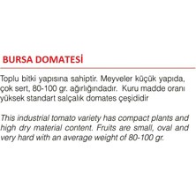 Agrodal Tarım Ata Tohumu Yerli Doğal Bursa Domatesi 1000 Adet Tohum