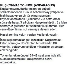 Agrodal Tarım Ata Tohumu Yerli Kuşkonmaz Tohumu 40 Adet Tohum