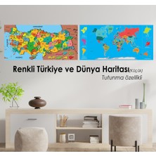 Evbuya Renkli Dünya Ve Türkiye Haritası - Yapışkansız Tutunan, Yeri Değiştirilebilir, Statik Akıllı Kağıt