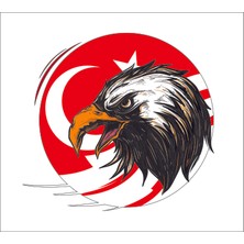 Sticker Fabrikası Kartal Türk Bayrağı Ay Yıldız Sticker 00949