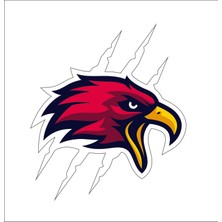 Sticker Fabrikası Kartal Şahin Sticker 00950