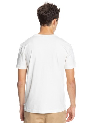 Quiksilver Essentials Organik Erkek T-Shirt EQYKT04092