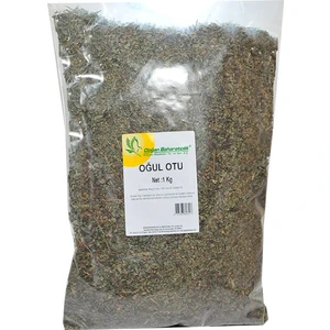 Doğan Baharat Oğul Otu 1 kg