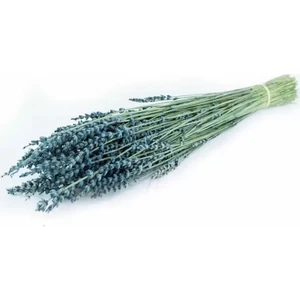 Flowerybox Kuru Çiçek  Şoklanmış Lavanta Mavi