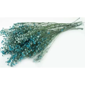 Flowerybox Kuru Çiçek  Şoklanmış Cipso Mavi
