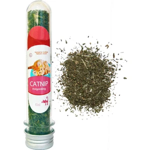 Catnip Kedi Otu Nanesi