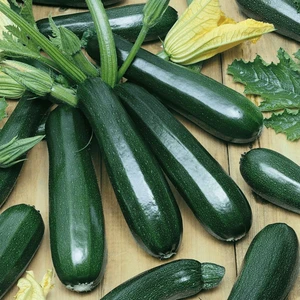 Agrodal Tarım Ata Tohumu Yerli Esmer Siyah Kabak Tohumu 20 Adet Tohum
