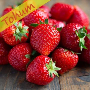 Agrodal Tarım Çilek Tohumu 0.1 gr Yaklaşık 120 Adet