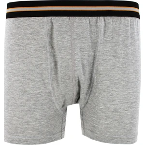 Tek Arslan Erkek Gri 2 Li Boxer