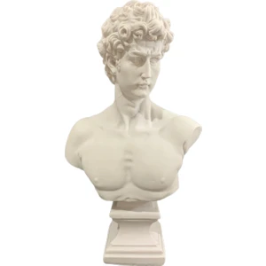 BT Sanat Atölyesi David Büst Heykel Biblo 43*24 cm