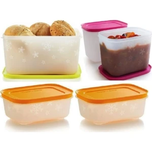 Alaska Set 2.5 Lt-1.1 LT-450ML Buzluk Saklama Kabı Hsgl