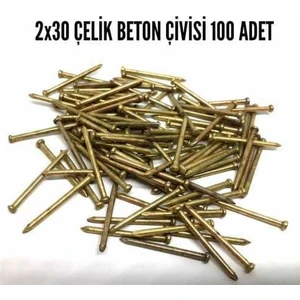 DOST ÇELİK Çelik Çivi (Laminat Süpürgelik) 2 x  30