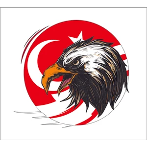 Sticker Fabrikası Kartal Türk Bayrağı Ay Yıldız Sticker 00949