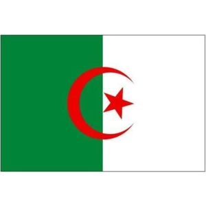 d&d Plus Cezayir Gönder Bayrağı 50 x 75 cm