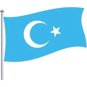d&d Plus Doğu Türkistan Bayrağı 70 x 105 cm