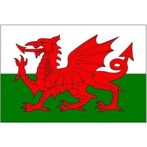 d&d Plus Galler Gönder Bayrağı 50 x 75 cm