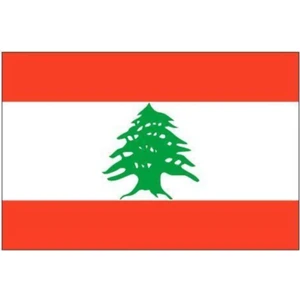 d&d Plus Lübnan Gönder Bayrağı 70 x 105 cm