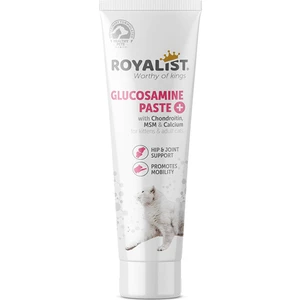 Glucosamine Kedi Kalça ve Eklem Sağlığı Destekleyici Malt Macunu 100 gr