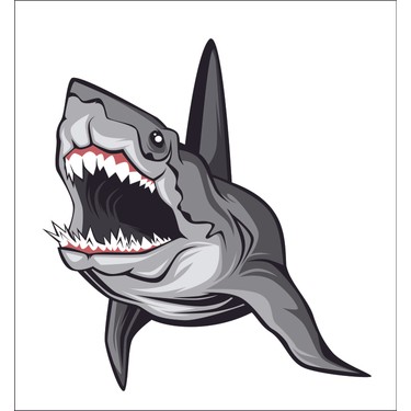 Sticker Fabrikasi Kopek Baligi Vahsi Tehlikeli Cikartma Fiyati Sticker Fabrikasi Kopek Baligi Vahsi Tehlikeli Cikartma Fiyati