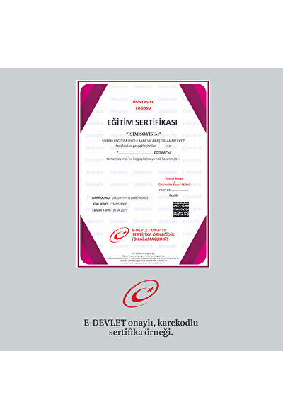 E-Sertifika Takım Çalışması Eğitimi (E-Devlet / EETAC Onaylı Sertifikalı)