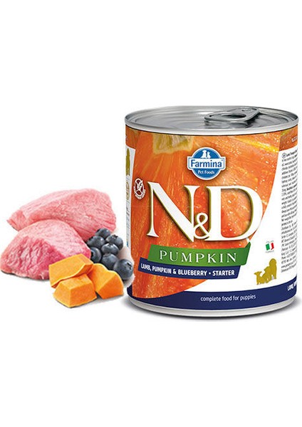 N D Pumpkin Kuzulu Yaban Mersinli Starter Köpek Konserve 6X285 gr