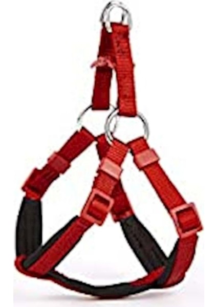 DSGT10XXS Kırmızı Köpek Tasması