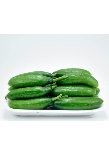 Salatalık Minik 1 kg