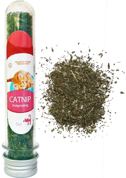 Catnip Kedi Otu Nanesi