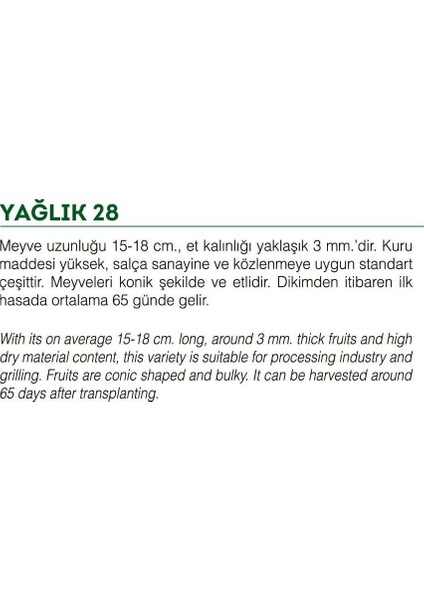 Ata Tohumu Yöresel Yağlık Biber 1000 Adet Tohum