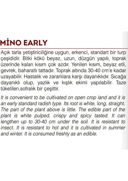 Doğal Beyaz Uzun Turp Mino Early 500 Adet Tohum fiyatları