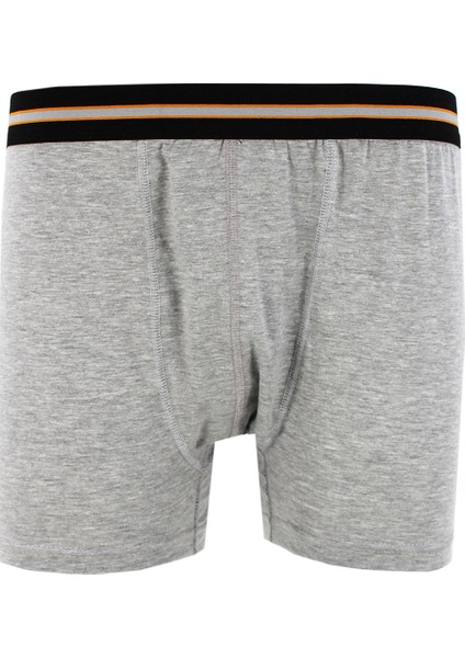 Tek Arslan Erkek Gri 2 Li Boxer