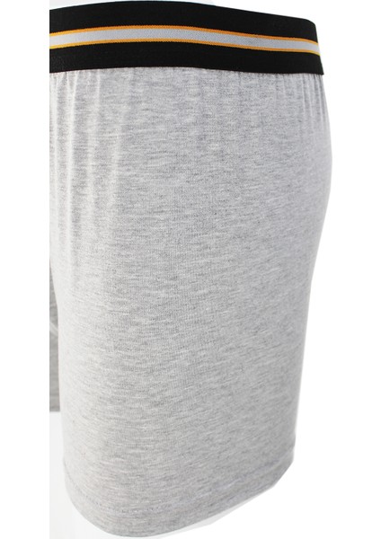 Tek Arslan Erkek Gri 2 Li Boxer fiyatları