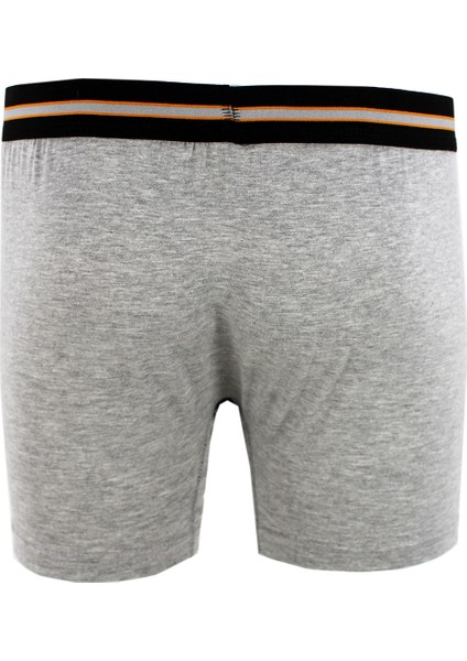 Tek Arslan Erkek Gri 2 Li Boxer modelleri