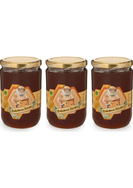 Avantajlı Set Babamın Kovanı 850 gr x 3'lü