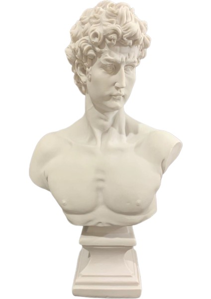 David Büst Heykel Biblo 43*24 cm