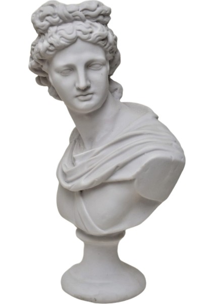 Büyük Apollo Büst-Heykel-Biblo