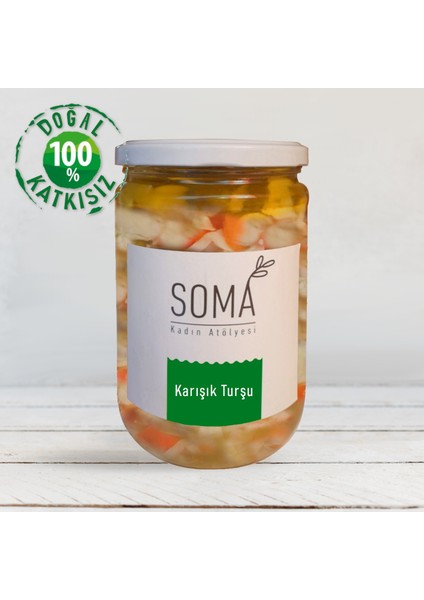 Karışık Turşu Katkısız Ev Yapımı 650 gr Mevsim Sebzeleriyle fiyatları