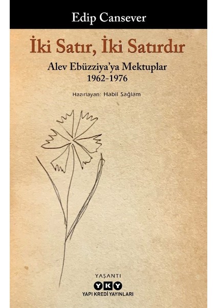 Iki Satır, Iki Satırdır: Alev Ebüzziya'ya Mektuplar 1962-1976 - Edip Cansever